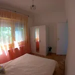Moha és Páfrány * Lakitelek